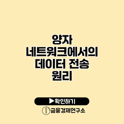 양자 네트워크에서의 데이터 전송 원리