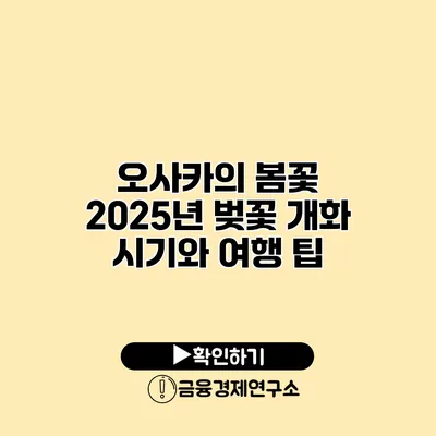 오사카의 봄꽃 2025년 벚꽃 개화 시기와 여행 팁