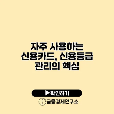 자주 사용하는 신용카드, 신용등급 관리의 핵심