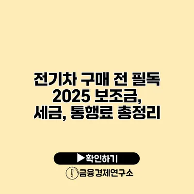 전기차 구매 전 필독 2025 보조금, 세금, 통행료 총정리