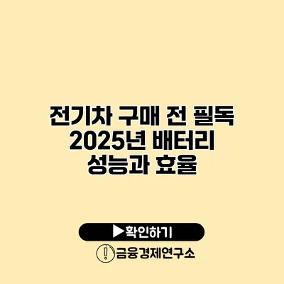 전기차 구매 전 필독 2025년 배터리 성능과 효율