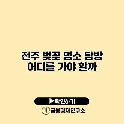 전주 벚꽃 명소 탐방 어디를 가야 할까?