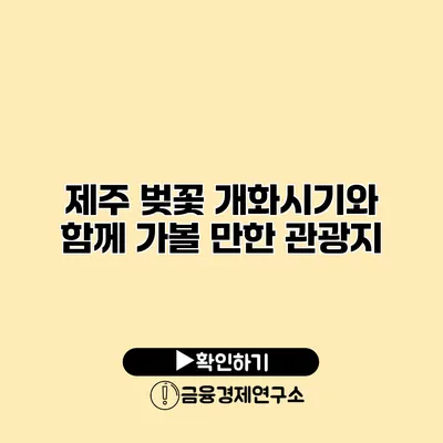 제주 벚꽃 개화시기와 함께 가볼 만한 관광지