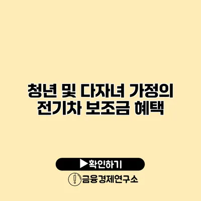 청년 및 다자녀 가정의 전기차 보조금 혜택