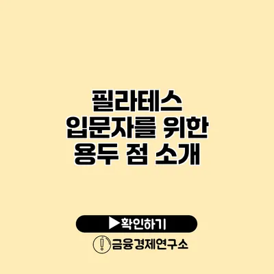 필라테스 입문자를 위한 용두 점 소개