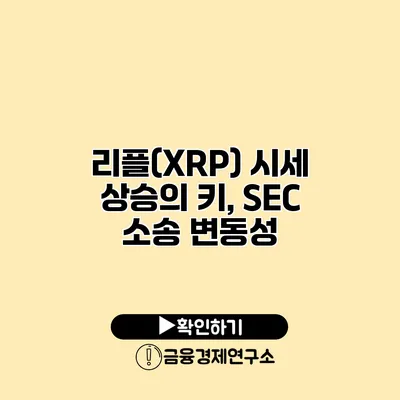 리플(XRP) 시세 상승의 키, SEC 소송 변동성
