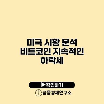 미국 시황 분석 비트코인 지속적인 하락세?